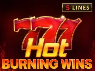 Hot Burning Wins game thumbnail
